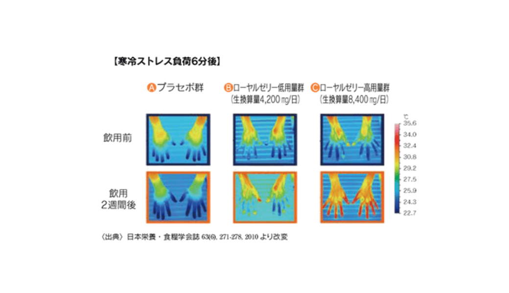 サーモ画像