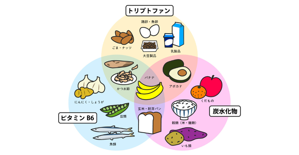 重要な3つの栄養素