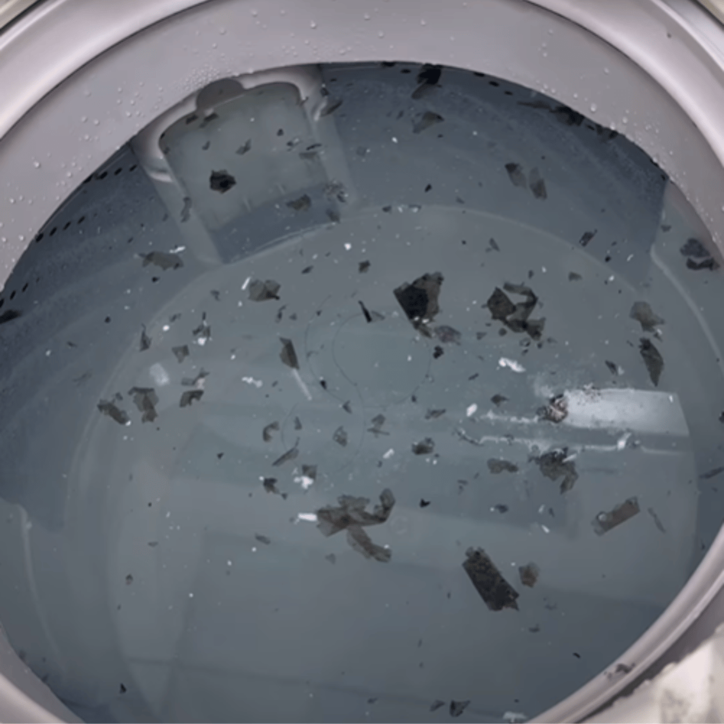 洗濯槽のワカメ汚れ