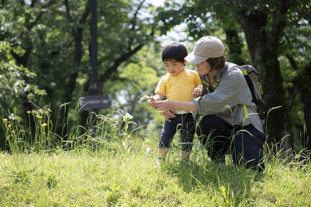 公園