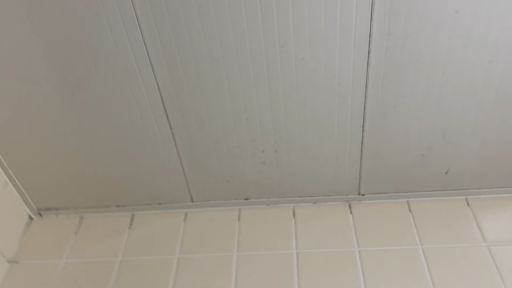 カビ汚れがついた浴室の天井