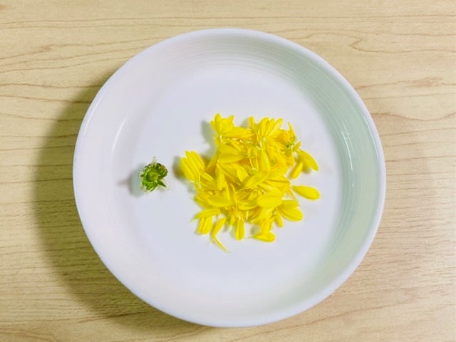 菊の花画像