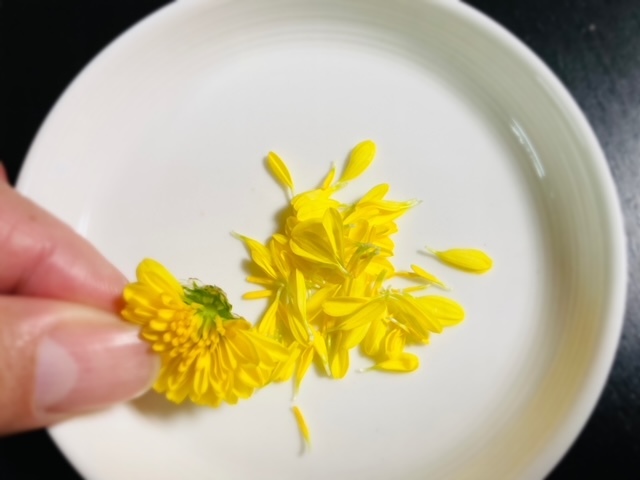 菊の花画像