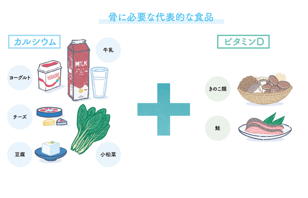 骨に必要な食品