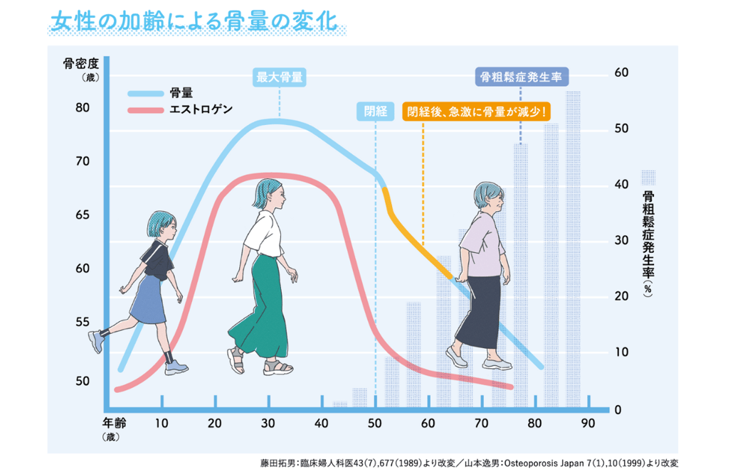 骨密度と年齢の関係