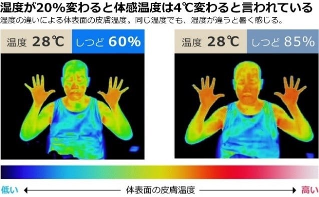 サーモグラフィーによる可視化の結果