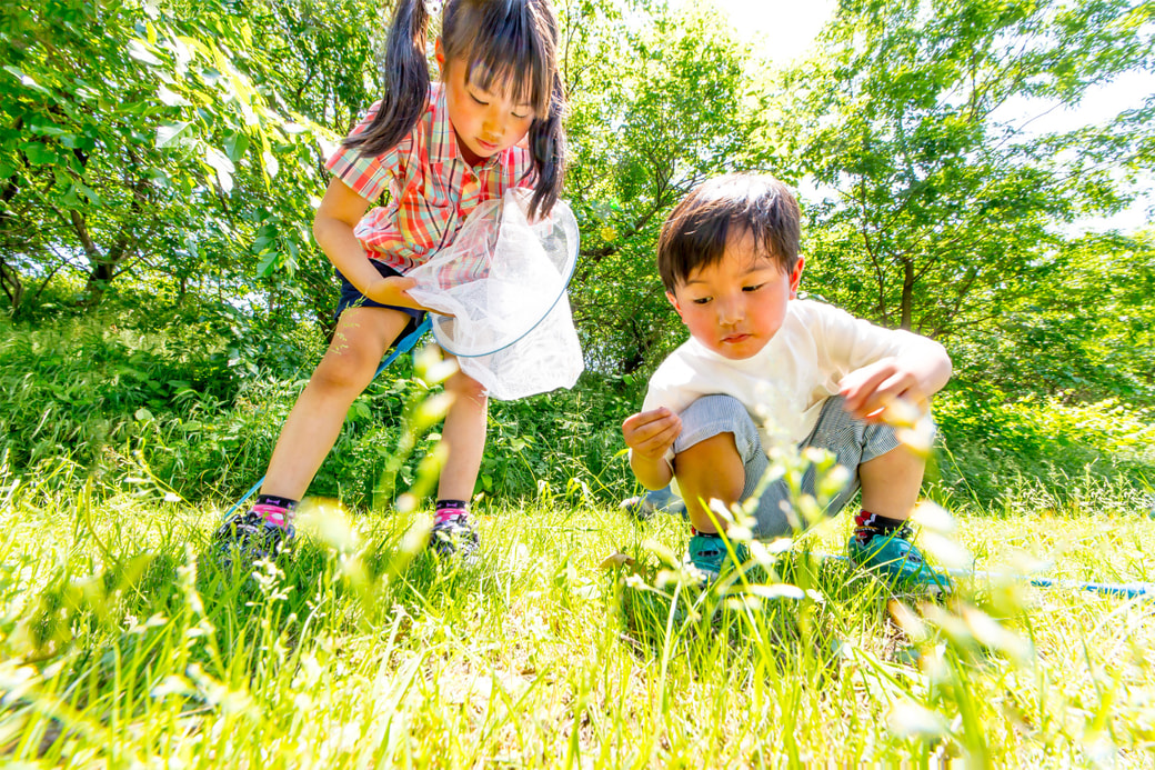 自然の中で遊ぶ子ども