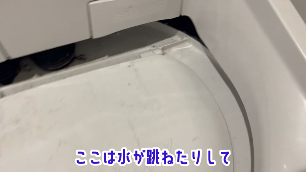 洗濯機の入り口周辺