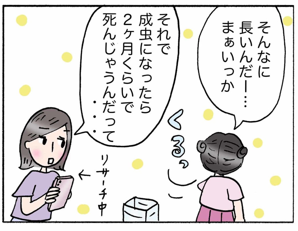 4コマ