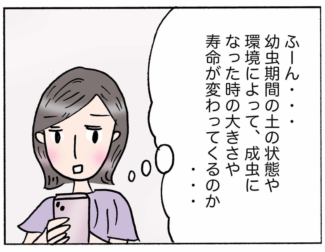 4コマ