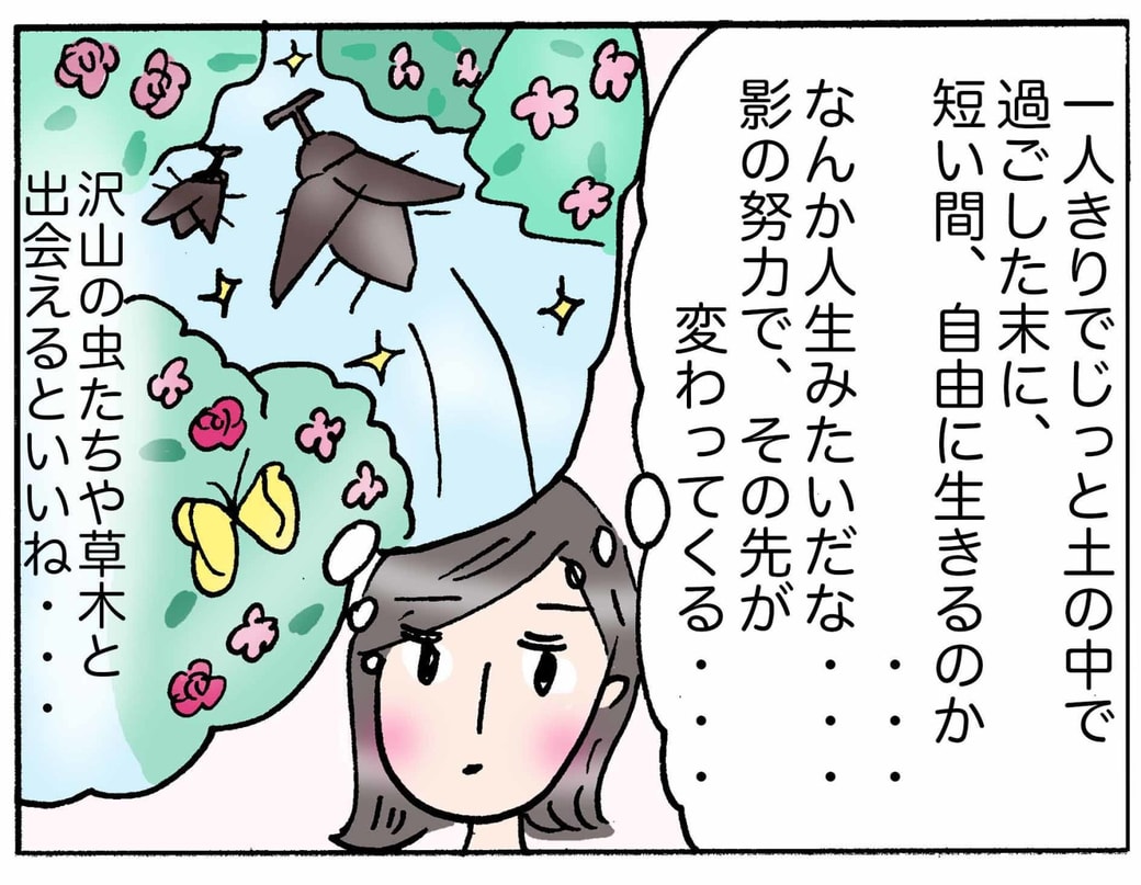 4コマ