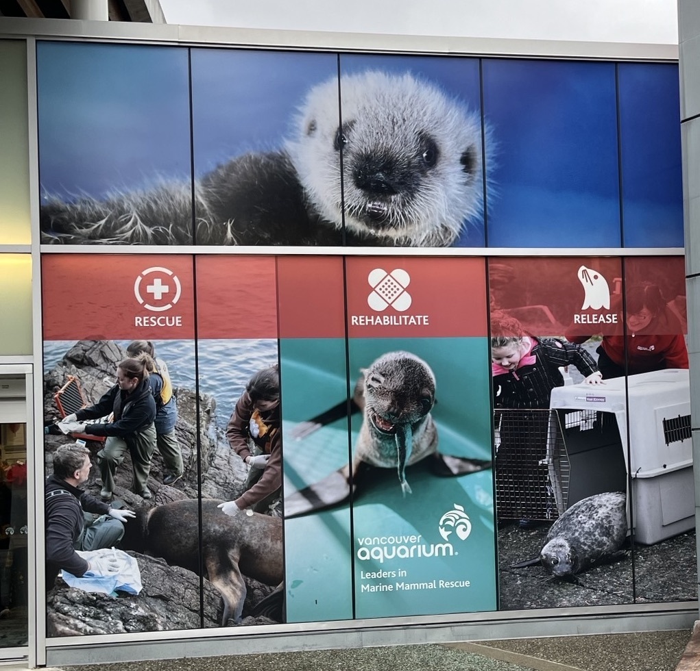 水族館イメージ