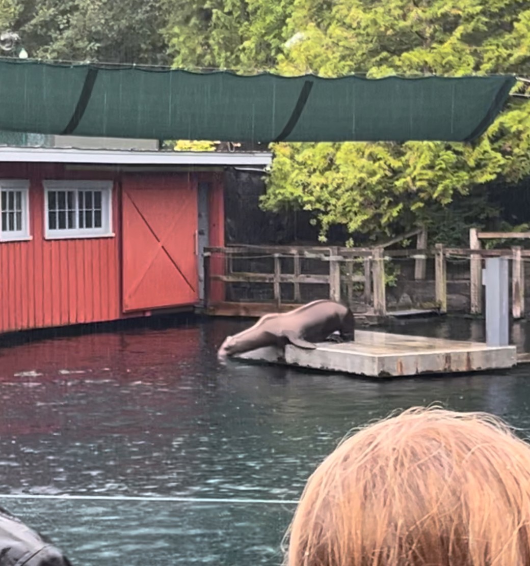 水族館イメージ