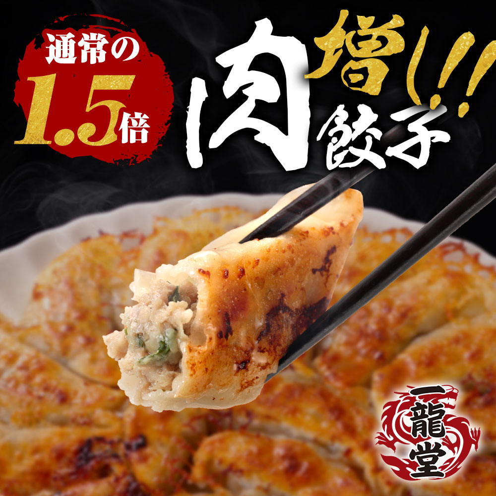 肉増し餃子（100個 ※1900g）