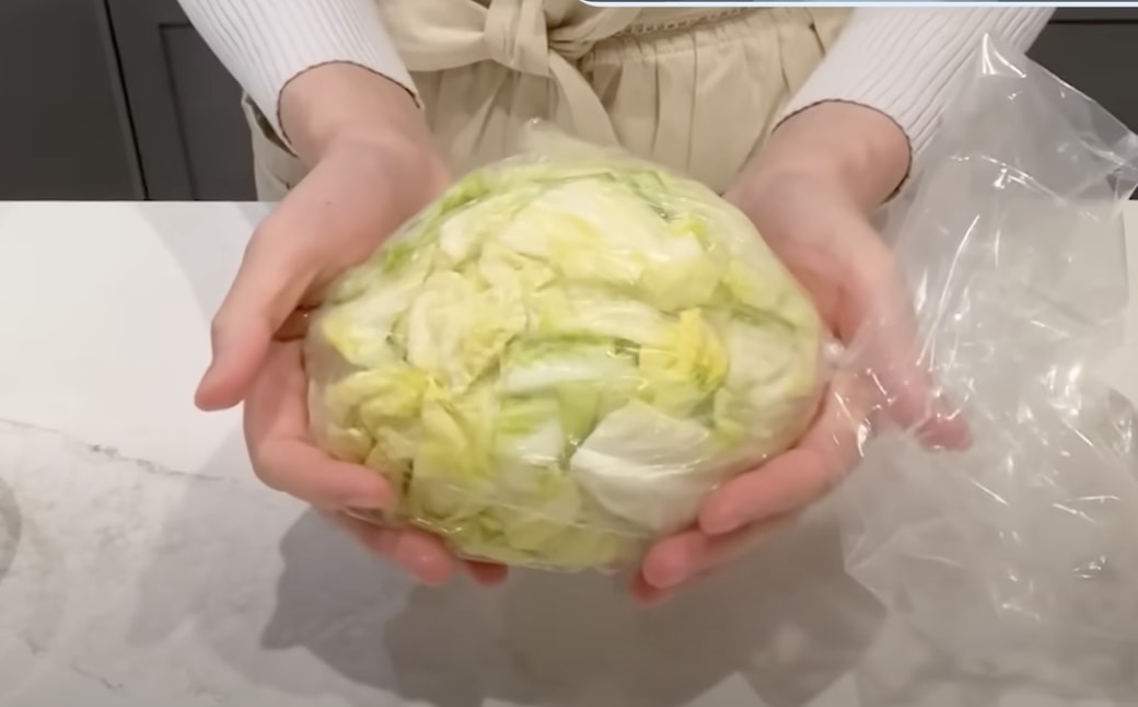 キャベツ