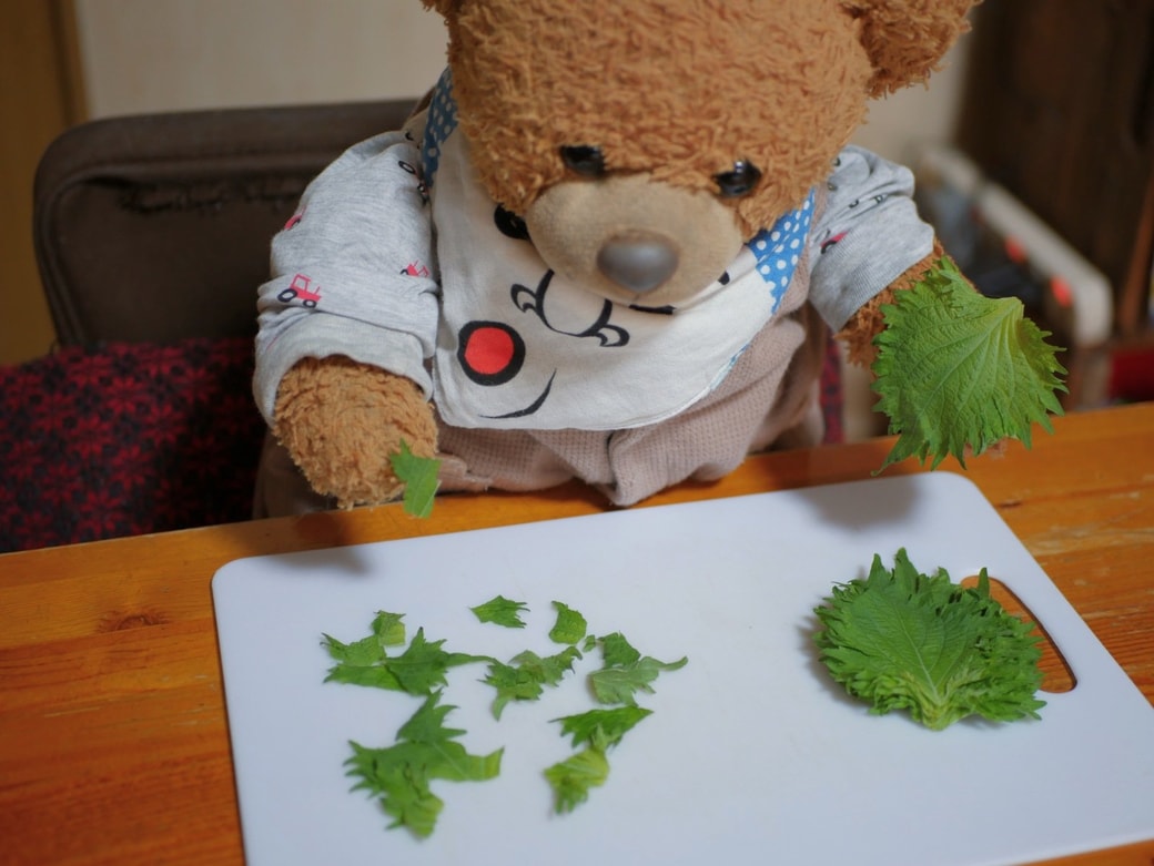 大葉をちぎる