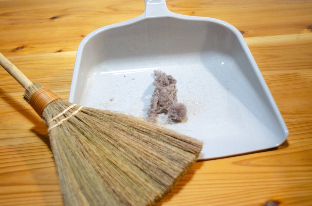 ほうきとちりとり