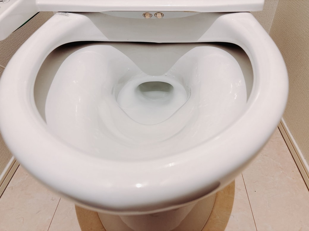 掃除後の便器のふち
