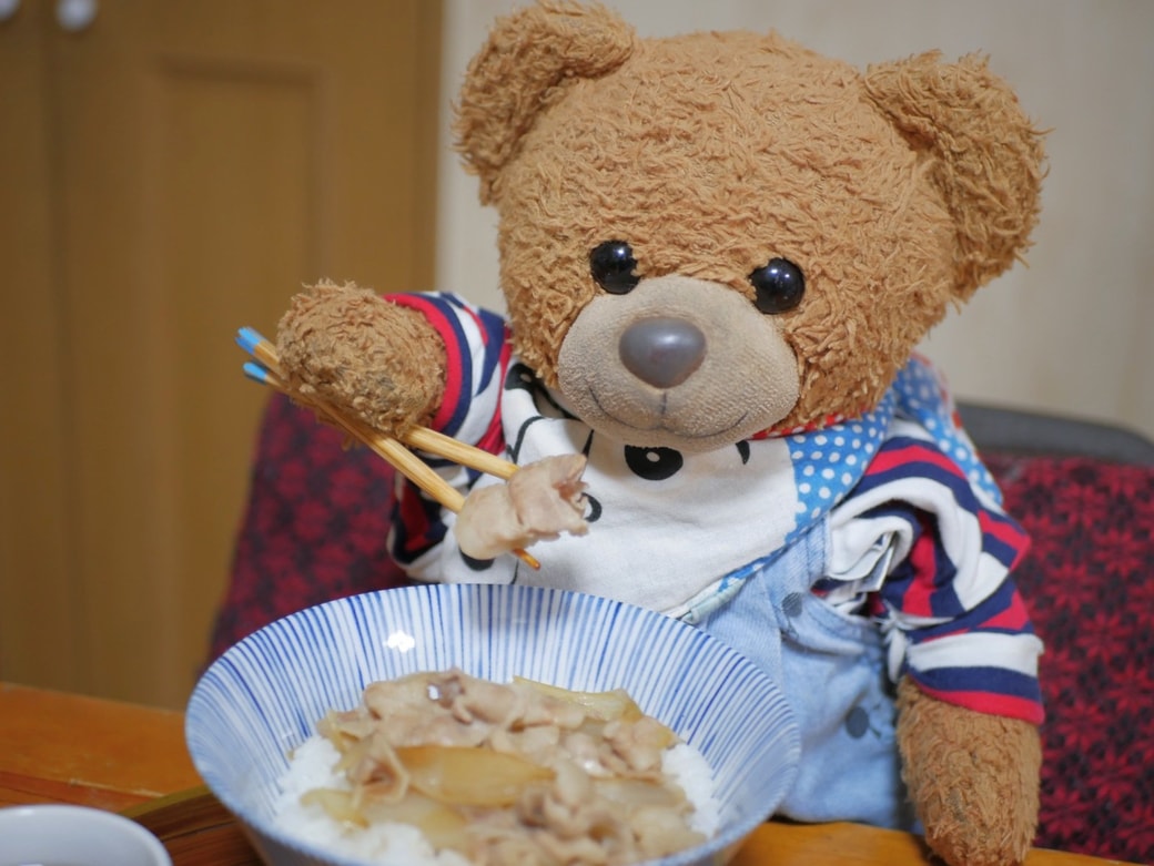 くまくん実食