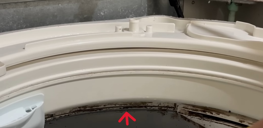 洗濯槽についたカビ汚れを落とす人