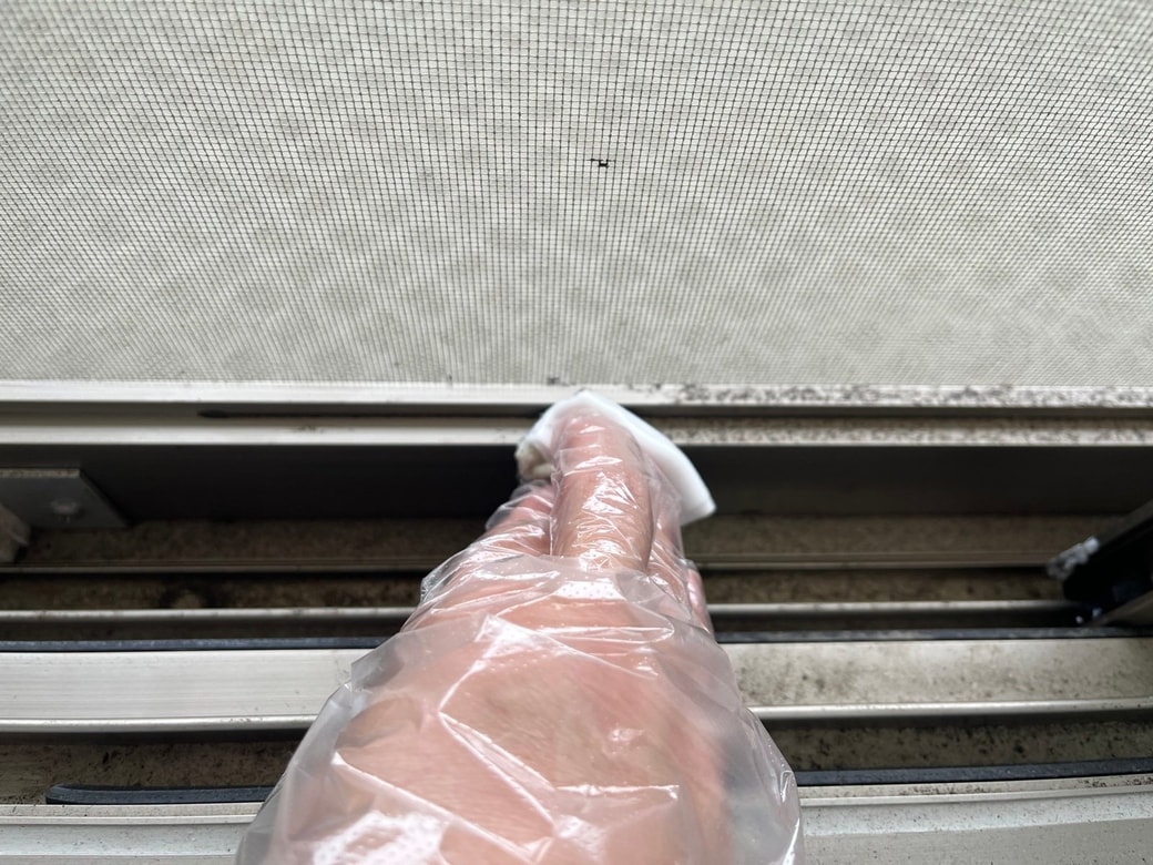 おしぼり