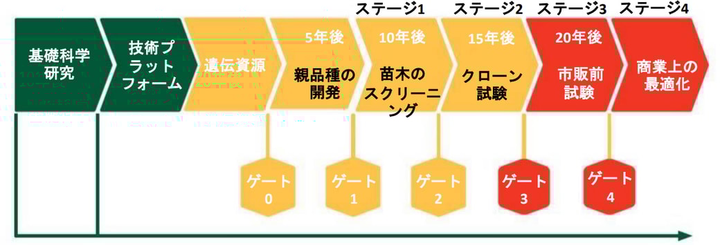 品種改良の工程図
