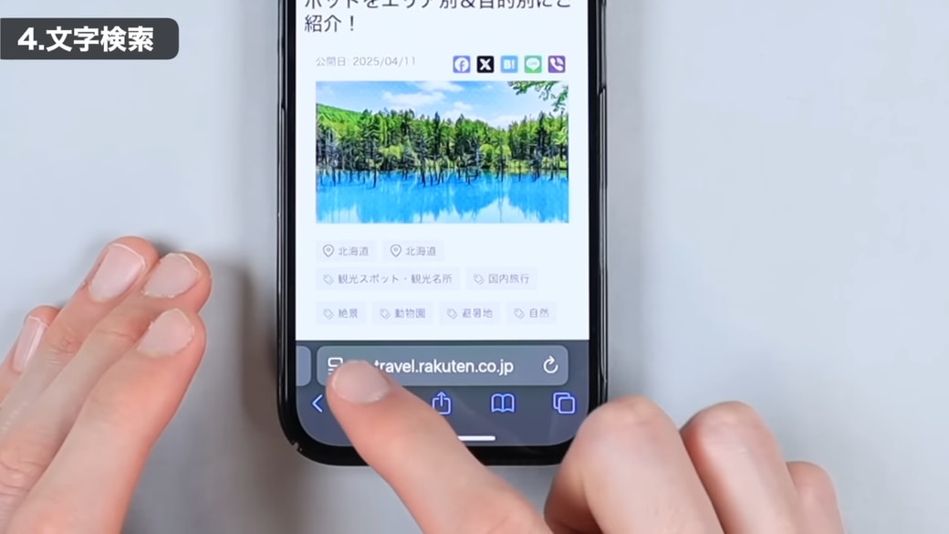 アドレスバーの左端のアイコンをタップする