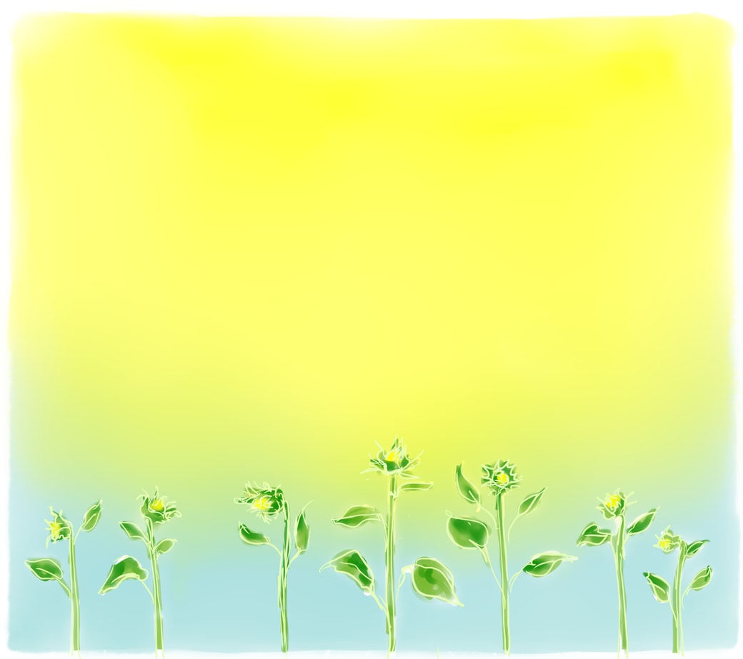 幻想的な光の中、天に向かって茎を伸ばし、蕾を膨らませるひまわりたち