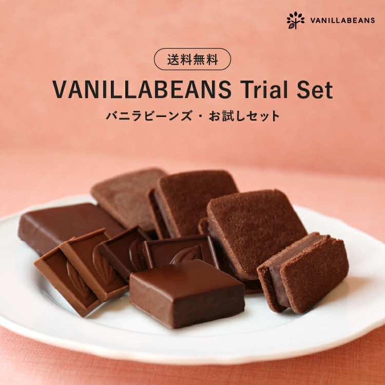 高評価のとろけるチョコレートスイーツ