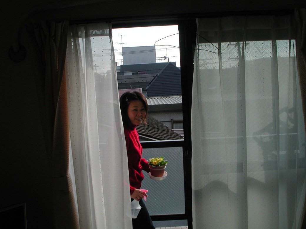 ふうふ写真散歩