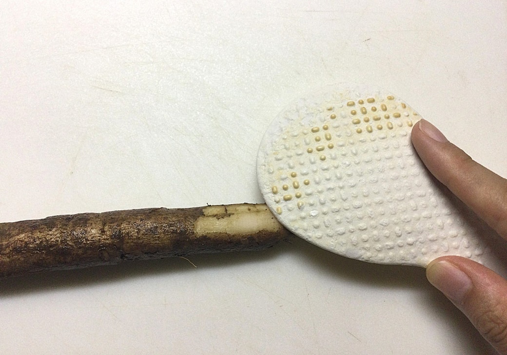 しゃもじでごぼうの皮むき