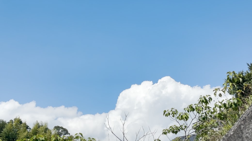 夏の空