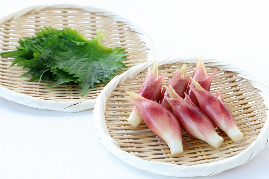 大葉みょうが
