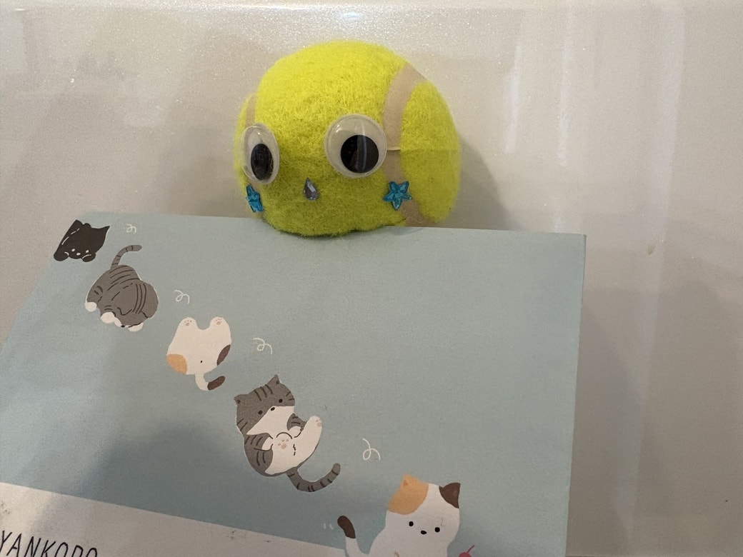 テニスボールに手紙をくわえさせた様子