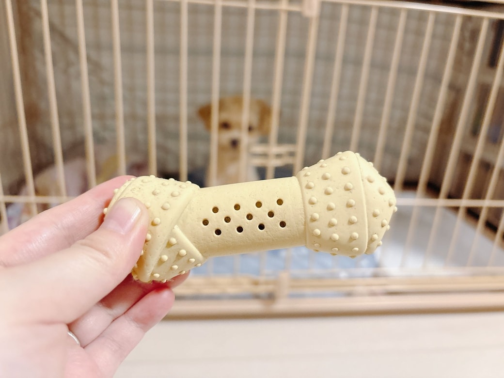 ペット用品も水拭きを