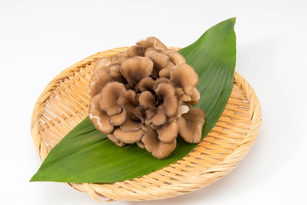 舞茸