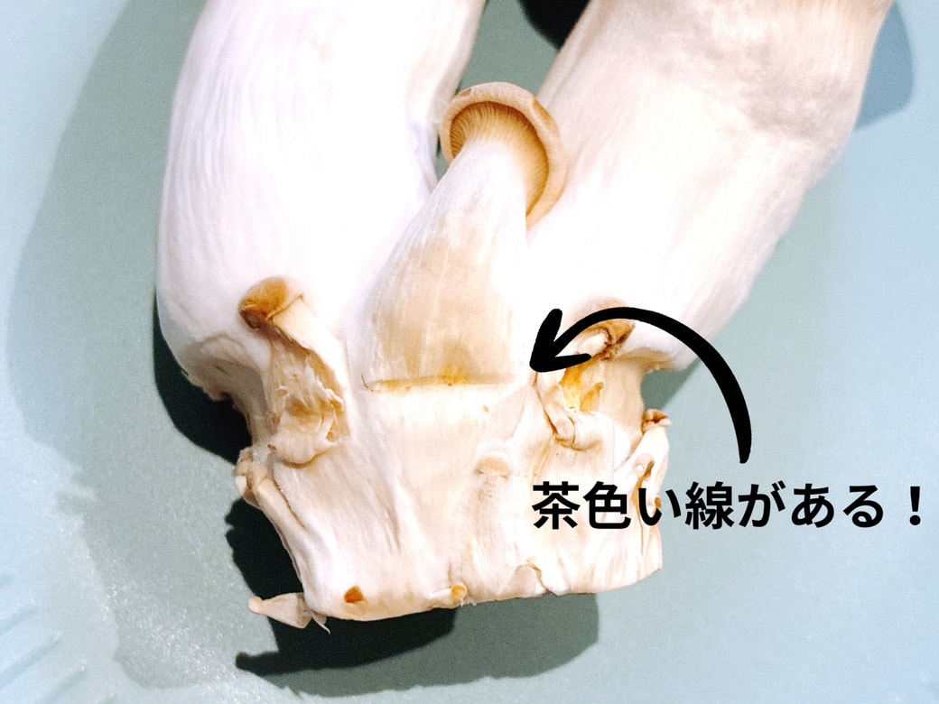 エリンギの根元についている茶色い線