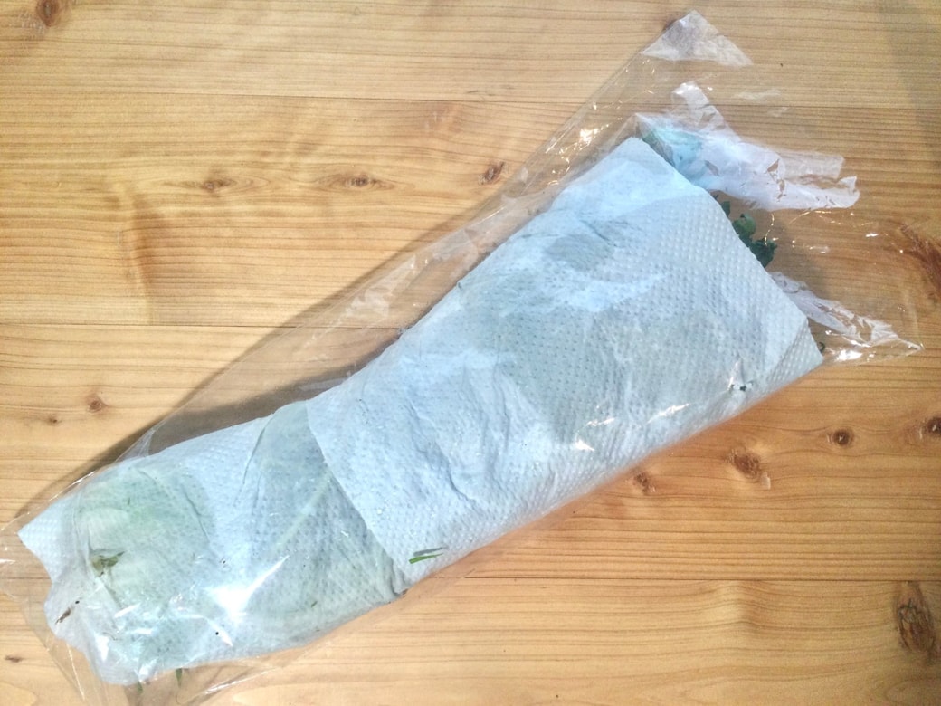 キッチンペーパーで包んだ野菜をビニール袋に入れる
