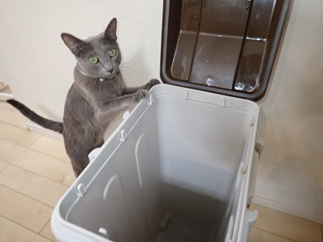 掃除後のゴミ箱