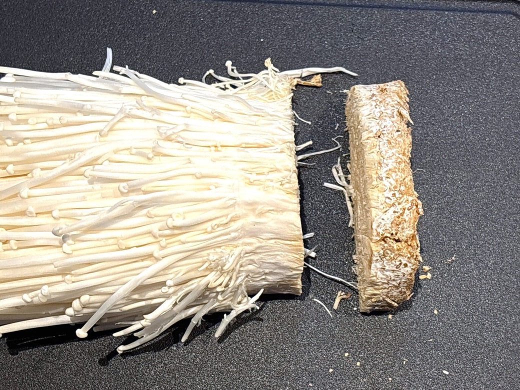 菌床だけ落とせばOK