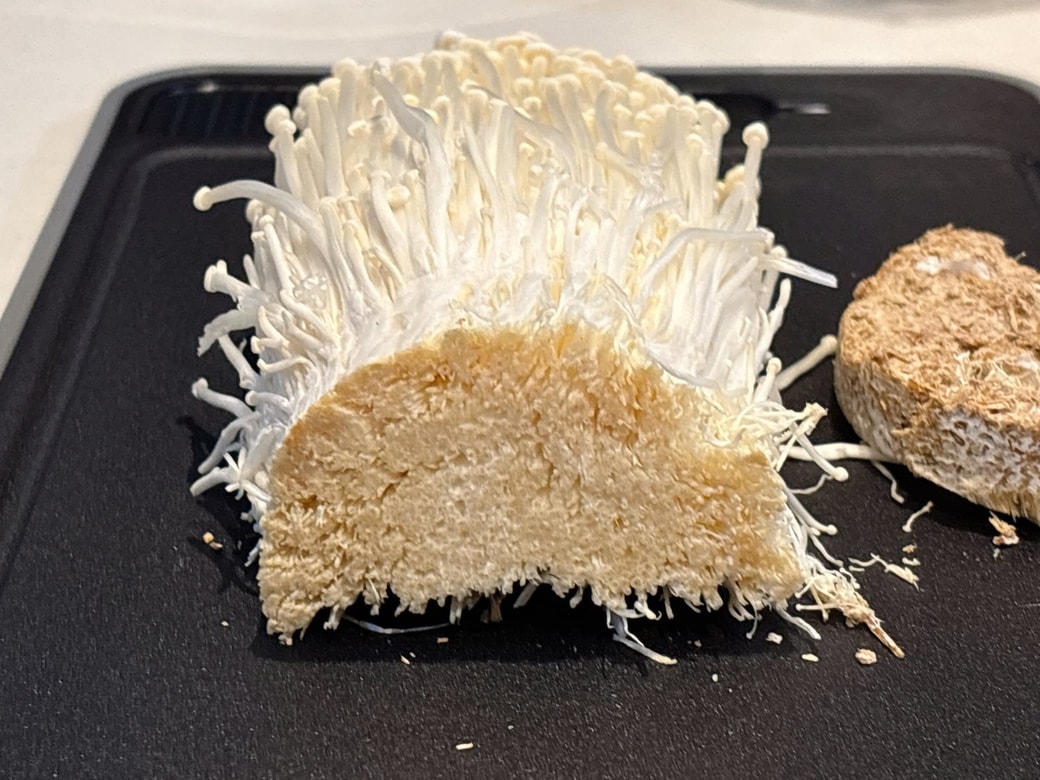 切った断面が白ければOK