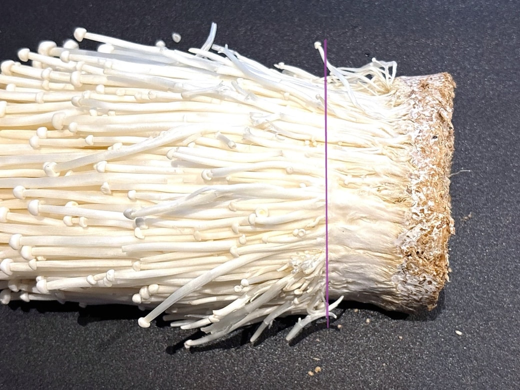 えのきの石づきは「線」で切らない