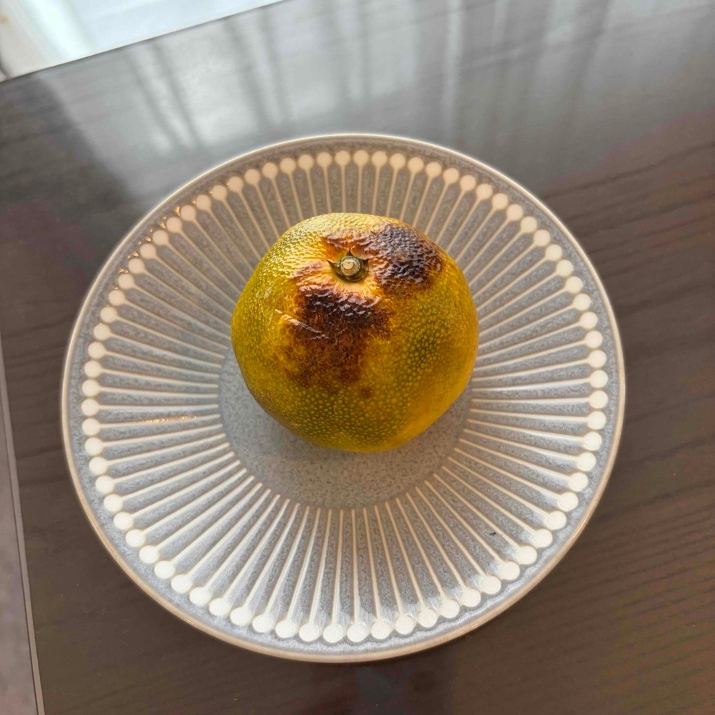 焼いたみかんの写真