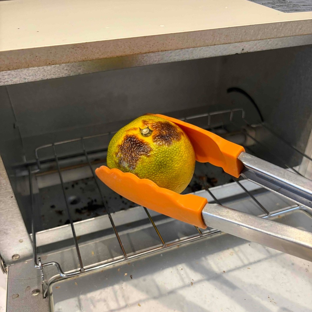 みかんをトングで裏返しているところ