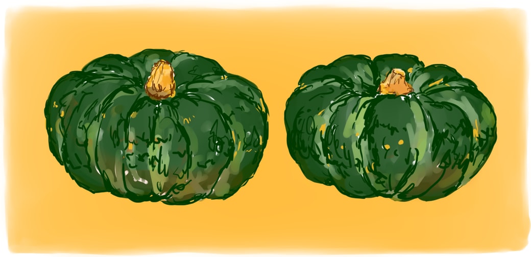 二つ並んだかぼちゃ。皮は緑色でどっしりしている。