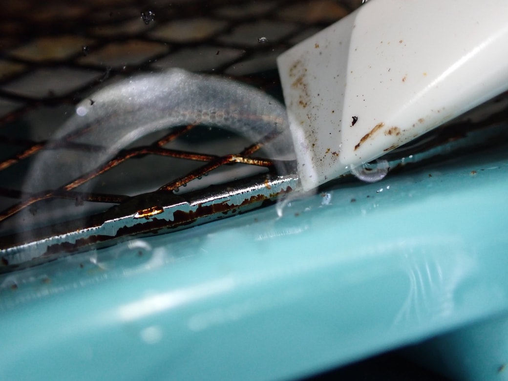 ヘラで少し削る