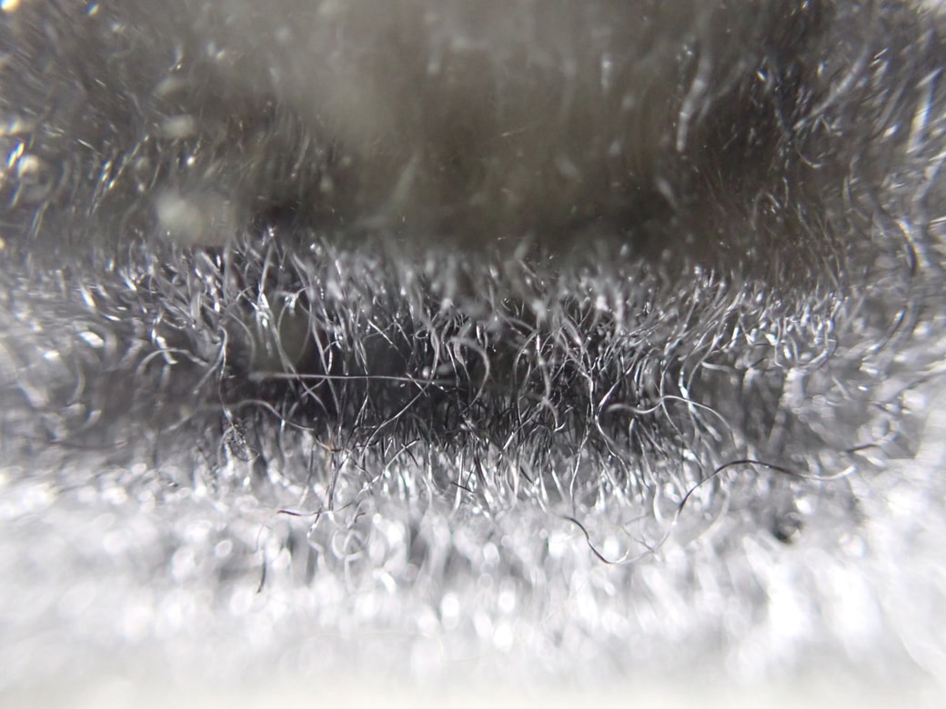 ボンスターを拡大