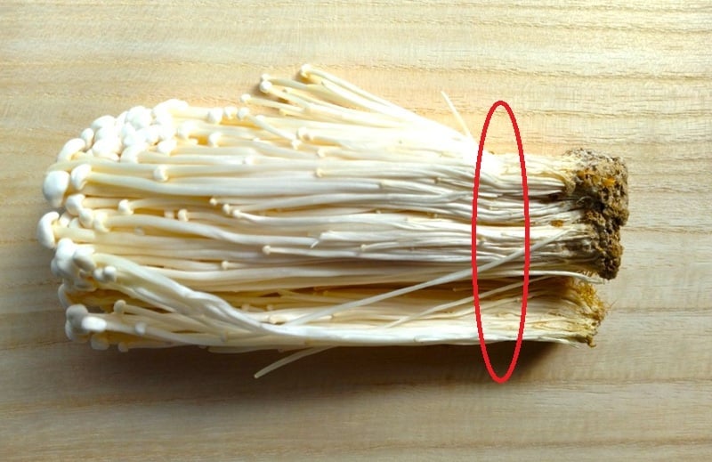 エノキのうっすらと線の入った部分