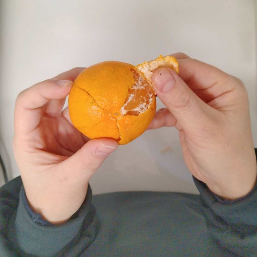 バッグクロージャーとみかん