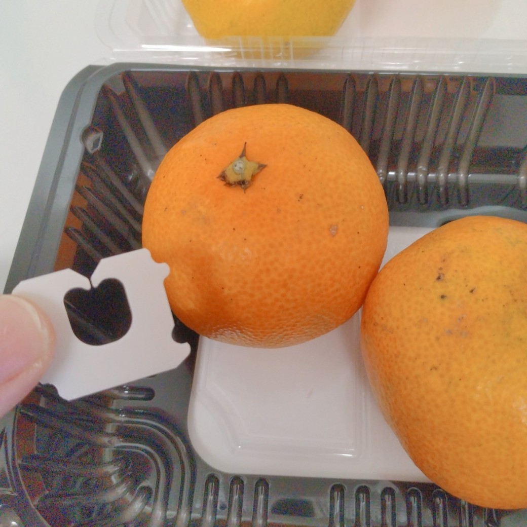 みかんとバッグクロージャー